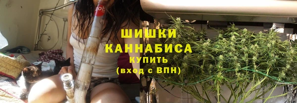 прущие грибы Кукмор