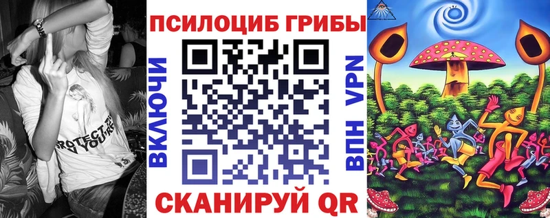 Галлюциногенные грибы Psilocybine cubensis  Бронницы 